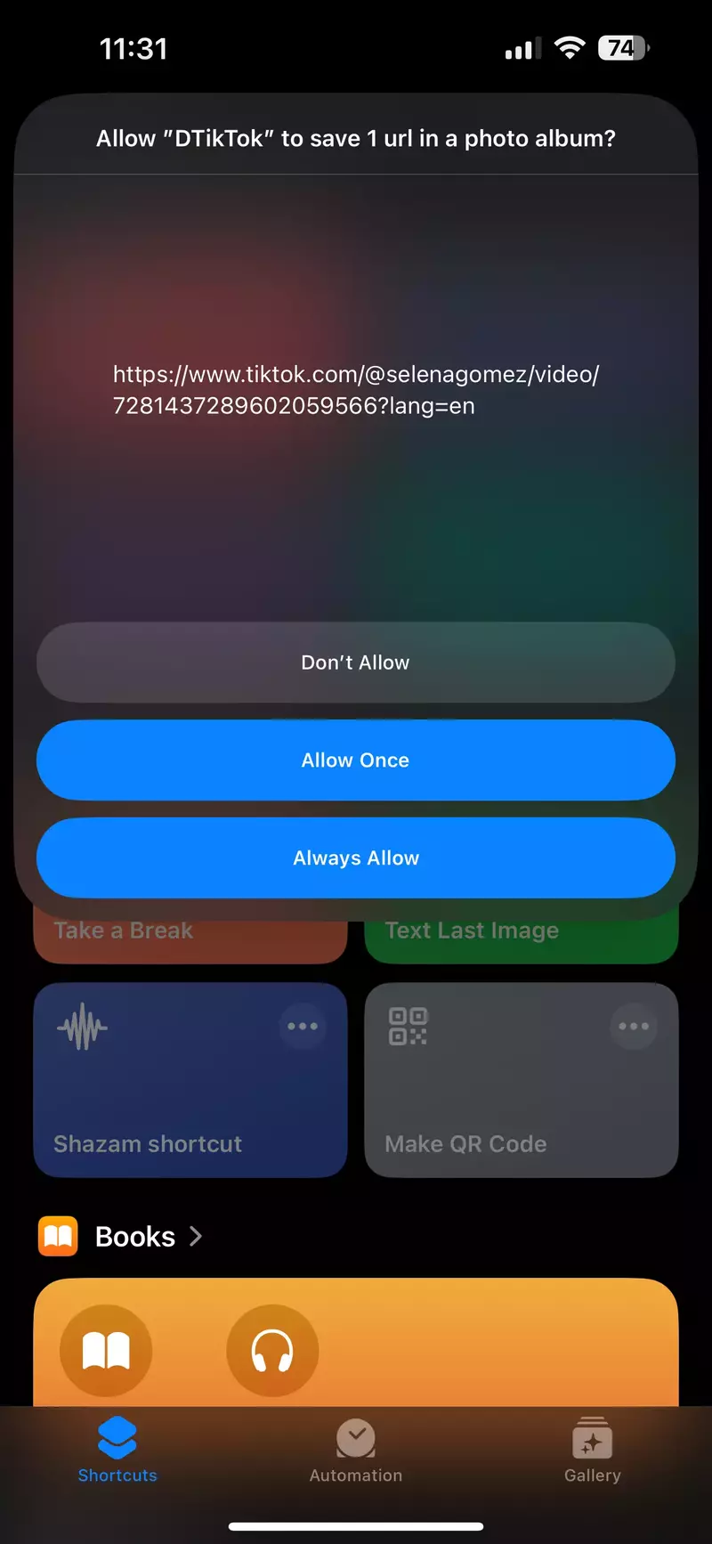 DTikTok Screenshot 4 - Success confirmation